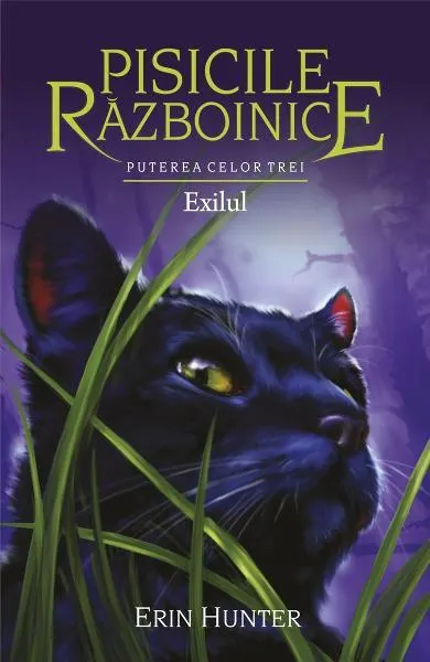 Pisicile războinice. Puterea celor trei. Exilul (Vol.15) - Paperback brosat - Erin Hunter