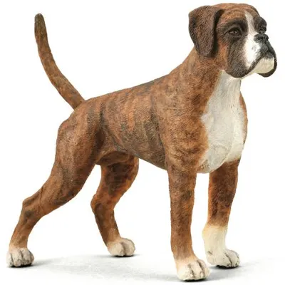 Figurina pictata manual caine Boxer