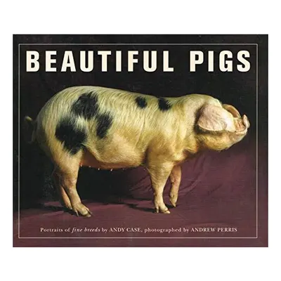 Beautiful Pigs
