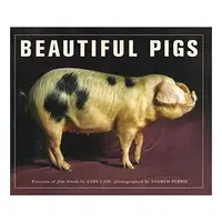 Beautiful Pigs