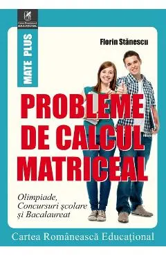 Probleme de calcul matriceal