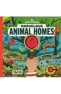 Marvelous Animal Homes: A Magic Lens Book