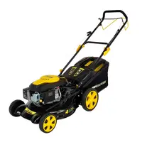 Masina de Tuns Iarba 3.5 CP, 500 mm, 60 L, Autopropulsata, ProGARDEN S511VHY-T6
