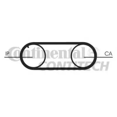 Curea de distributie CONTITECH CT645