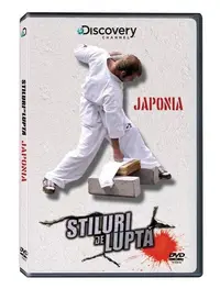 Stiluri de luptă. Japonia