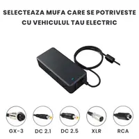 Incarcator Bicicleta/Trotineta Electrica 24V Li-ion, Output 29.4V-2A, ElectroAZ Engros