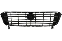 Grila radiator potrivit FIAT DUCATO 2.0-3.0D dupa 2001 - (negru)