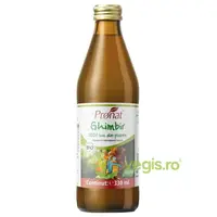 Suc de Ghimbir Ecologic/Bio 330ml