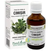 Extract din Mladite de Cimisir 50ml