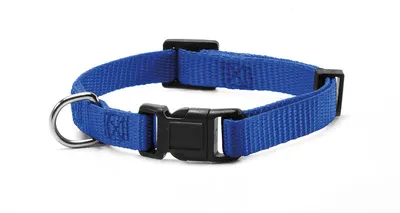 Zgarda reglabila, nylon - 2.0cmx40-53cm - Albastru