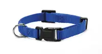Zgarda reglabila, nylon - 2.0cmx40-53cm - Albastru
