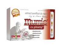 Extract purificat de rasina Mumie cu Ginseng, 60 capsule, Damar