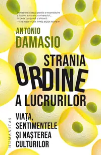 Strania ordine a lucrurilor - Paperback brosat - Antonio Damasio