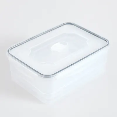 Set 5 caserole alimentare gri