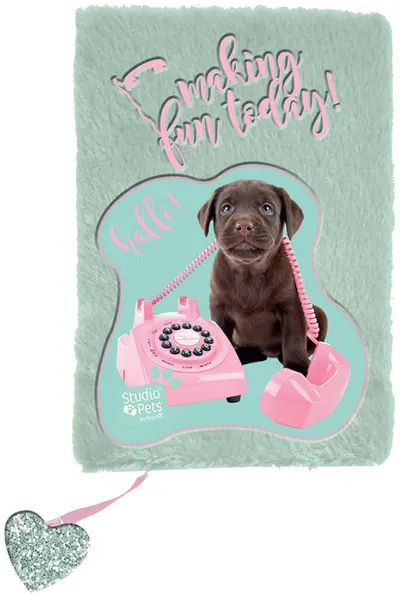 Jurnal de plus Paso Studio Pets - Making Fun Today, A5, 80 de file