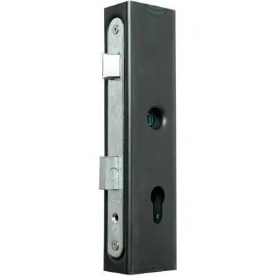 Carcasa cu broasca usa pentru profil 40x60, ax 72 mm, zavor reversibil, otel galvanizat, pentru porti si usi metalice