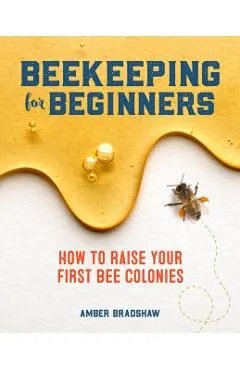 Beekeeping for Beginners: How to Raise Your First Bee Colonies