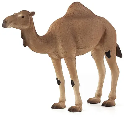Figurina Mojo Wildlife - Dromader