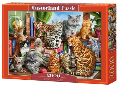 Puzzle Castorland din 2000 de piese - Casa pisicilor, Marcelo Corti