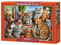 Puzzle Castorland din 2000 de piese - Casa pisicilor, Marcelo Corti