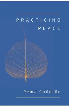 Practicing Peace (Shambhala Pocket Classic)