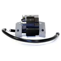 Aprindere Briggs-Stratton 802574