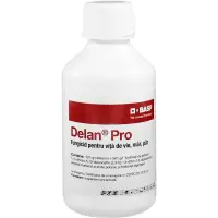 Delan Pro 30 ml fungicid sistemic BASF (vita de vie, mar par) - Default Title