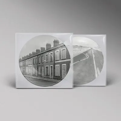 Critical Thinking (Picture Disc Vinyl)