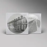 Critical Thinking (Picture Disc Vinyl)
