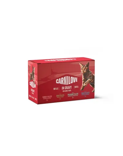 Hrană umedă pisici CARNILOVE Gravy Multipack 12 x 85 g fileuri în sos, 4 arome