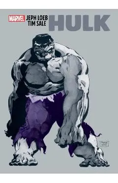 Jeph Loeb & Tim Sale: Hulk