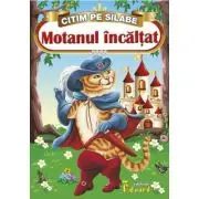 Citim pe silabe Motanul incaltat