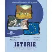 Manual de istorie clasa 11-a