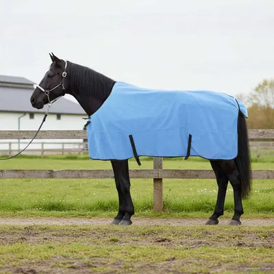 vidaXL Pătură pentru cai Aqua complet 155 cm Fleece din poliester