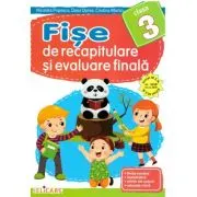 Fise de recapitulare si evaluare finala - Clasa 3