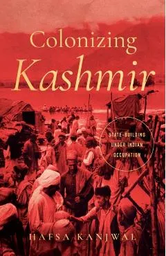 Colonizing Kashmir: State-Building Under Indian Occupation