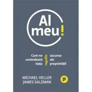Al meu! Cum ne controleaza viata regulile ascunse ale proprietatii