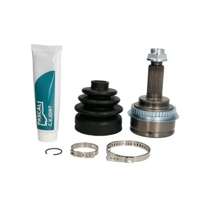 Set articulatie, planetara PASCAL G17037PC