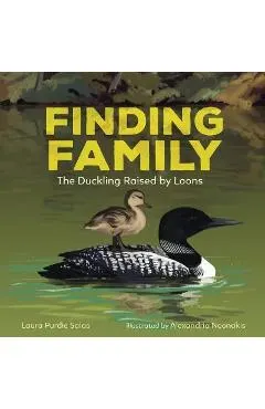 Finding Family: The Duckling Raised by Loons