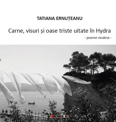 Carne, visuri și oase triste uitate în Hydra - Paperback brosat - Tatiana Ernuțeanu