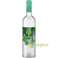 Seva de Mesteacan Lactofermentata Ecologica/Bio 750ml