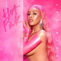 Hot Pink - Vinyl