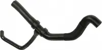 Furtun radiator superior (30mm 29,5mm) potrivit RENAULT ESPACE IV, LAGUNA II 1.9D 03.01