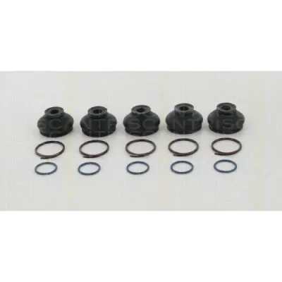 Burduf bieleta directie TRISCAN 8501 2810