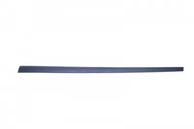 Bandou pentru usa dreapta FORD FIESTA 3 usi intre 2005-2008