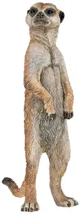 Figurina Papo Wild Animal Kingdom – Suricata