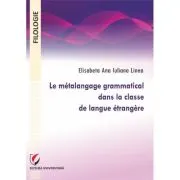 Le metalangage grammatical dans la classe de langue etrangere