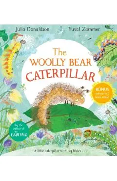 Woolly Bear Caterpillar