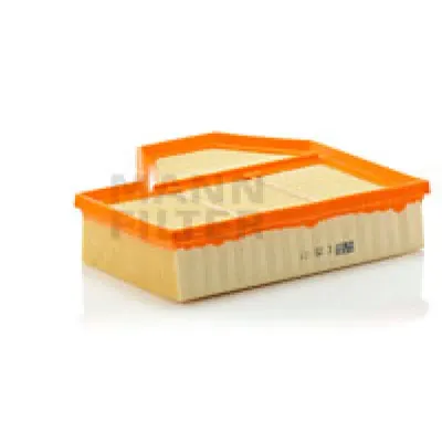 Filtru aer MANN-FILTER C 25 111