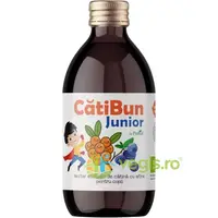 Nectar de Catina cu Afine pentru Copii Ecologic/Bio 250ml